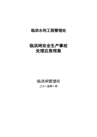 临洪闸安全生产事故处理应急预案