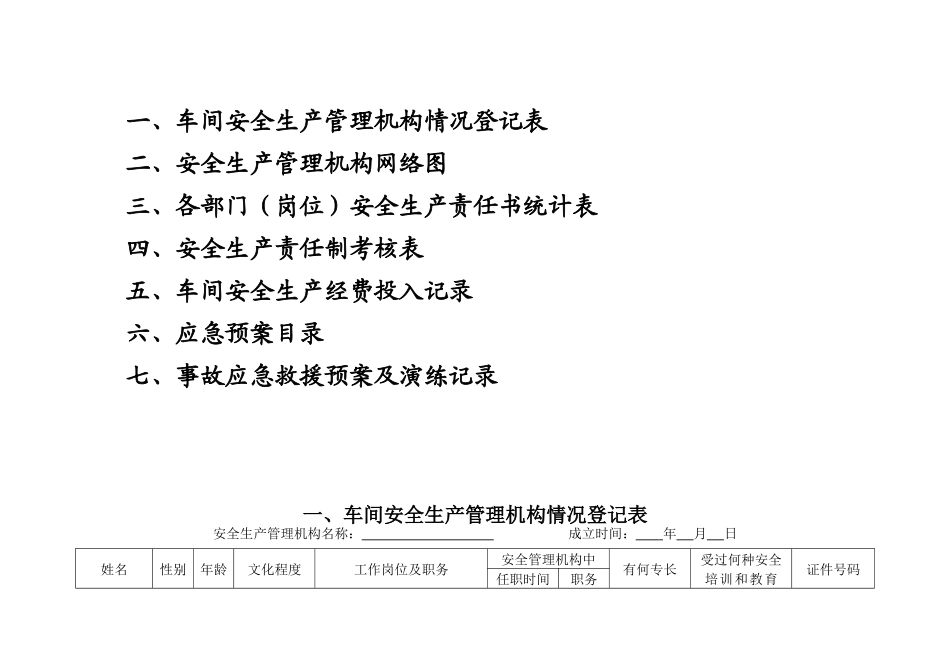 2024【十三要素范本】标准化安全生产管理台账_第2页