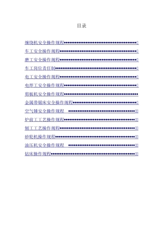 安全操作规程大全1