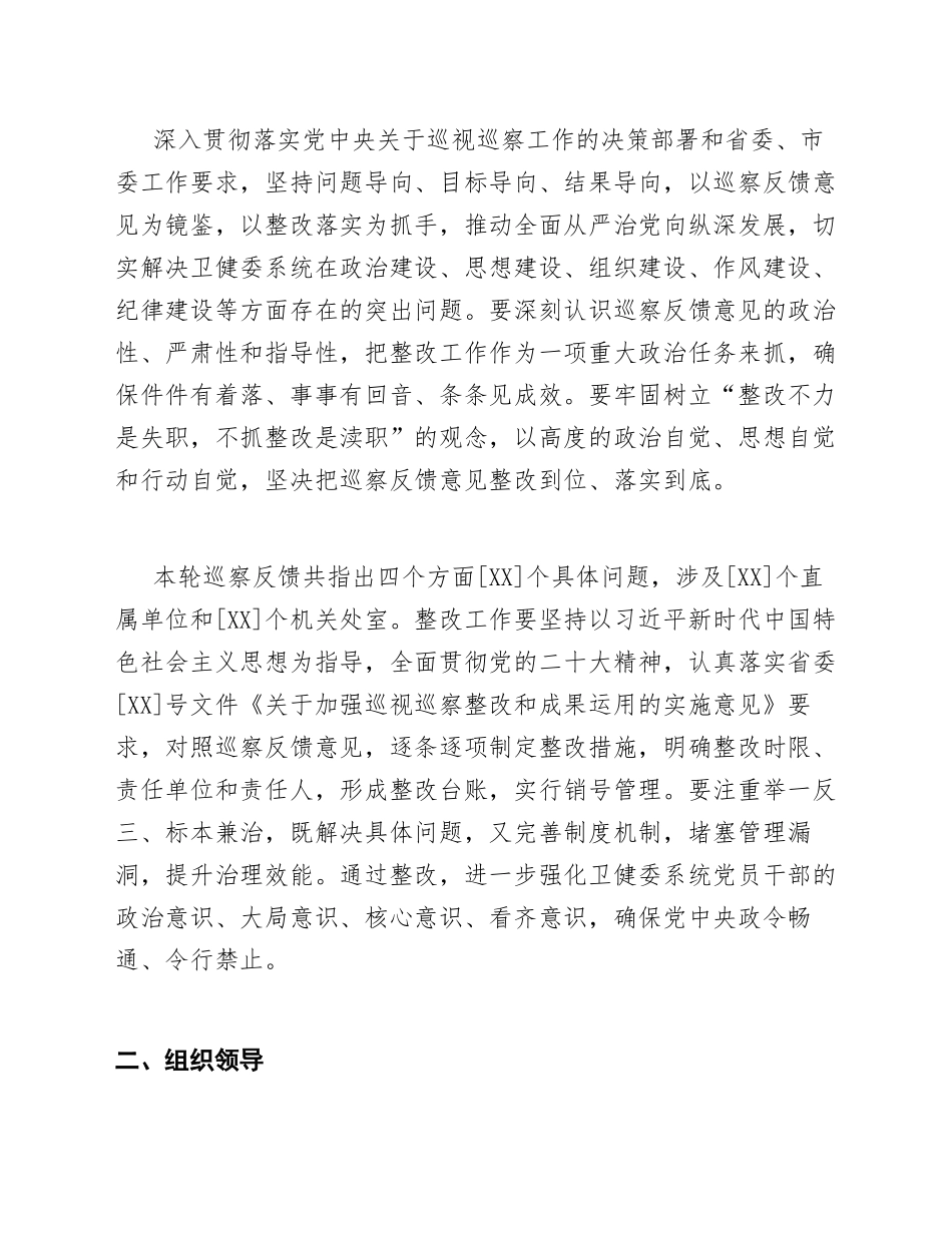 2025年卫健委党组巡察反馈意见整改落实工作方案（含整改台账模板）_第2页