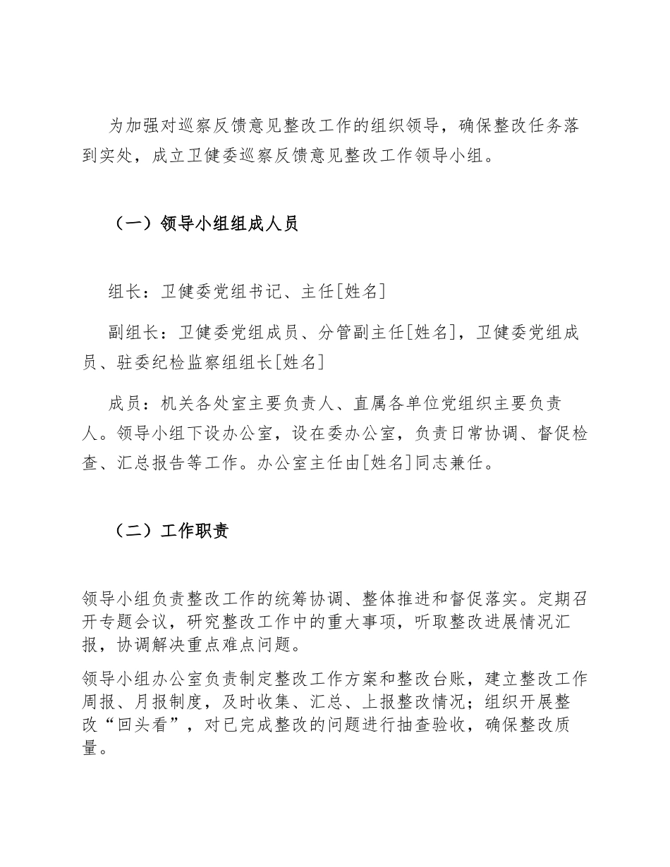 2025年卫健委党组巡察反馈意见整改落实工作方案（含整改台账模板）_第3页
