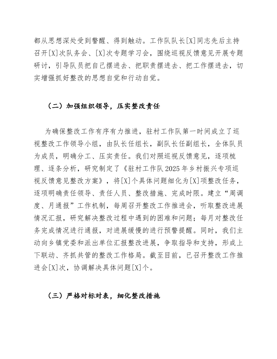 2025年驻村工作队乡村振兴专项巡视整改对照检查材料（含问题清单模板）_第2页