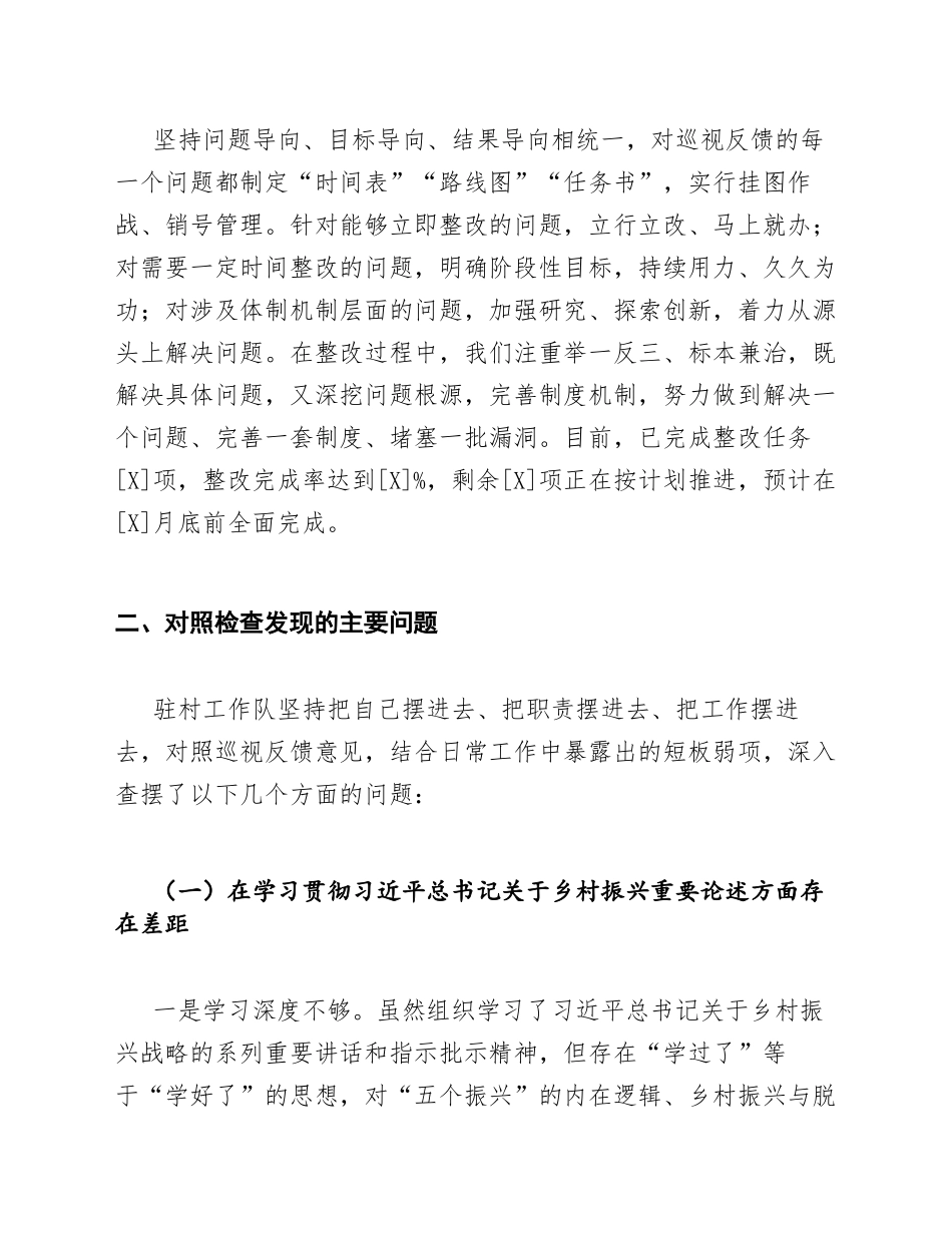 2025年驻村工作队乡村振兴专项巡视整改对照检查材料（含问题清单模板）_第3页
