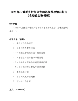2025年卫健委乡村振兴专项巡视整改情况报告（含整改台账模板）