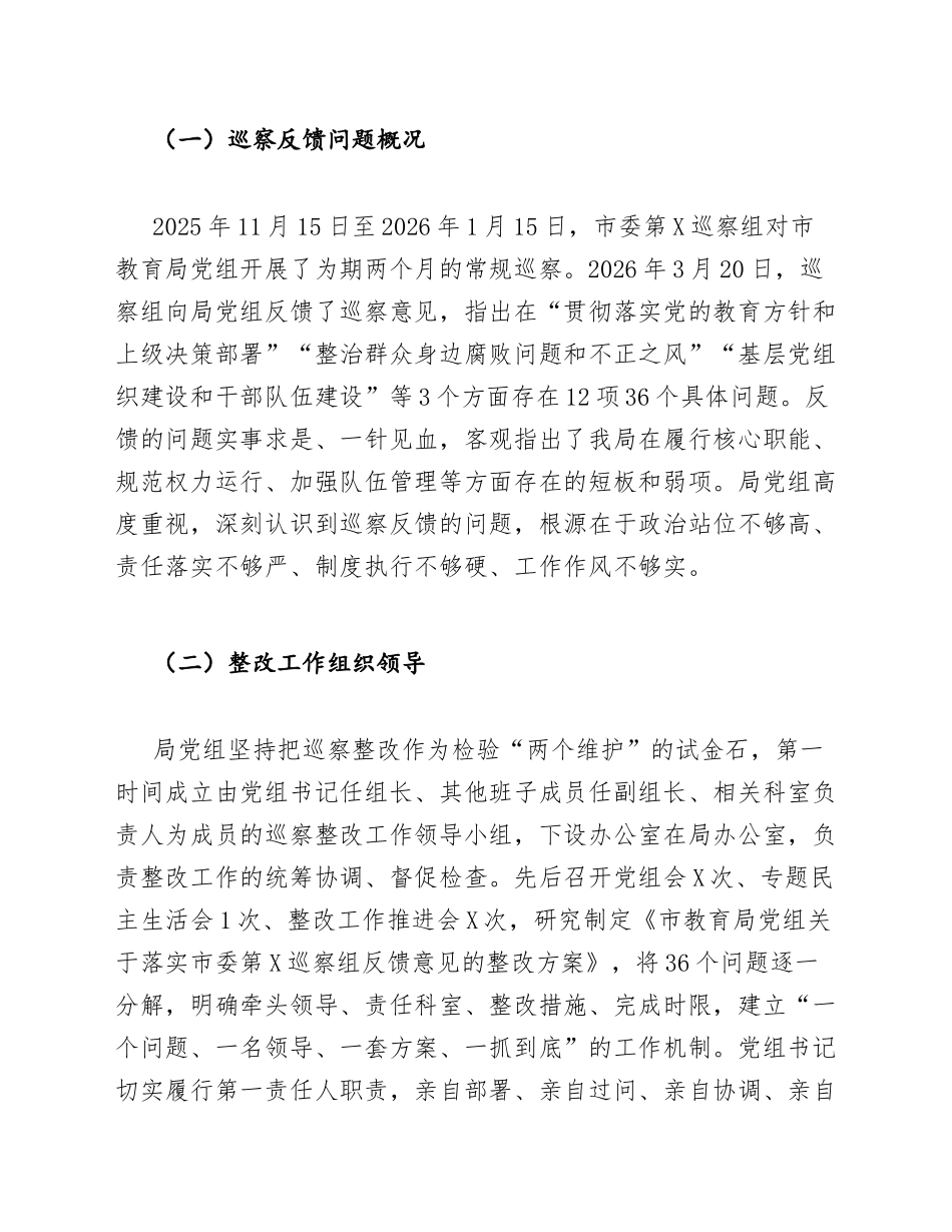 2026年教育局巡察整改年终工作总结（含问题清单与整改台账模板）_第2页