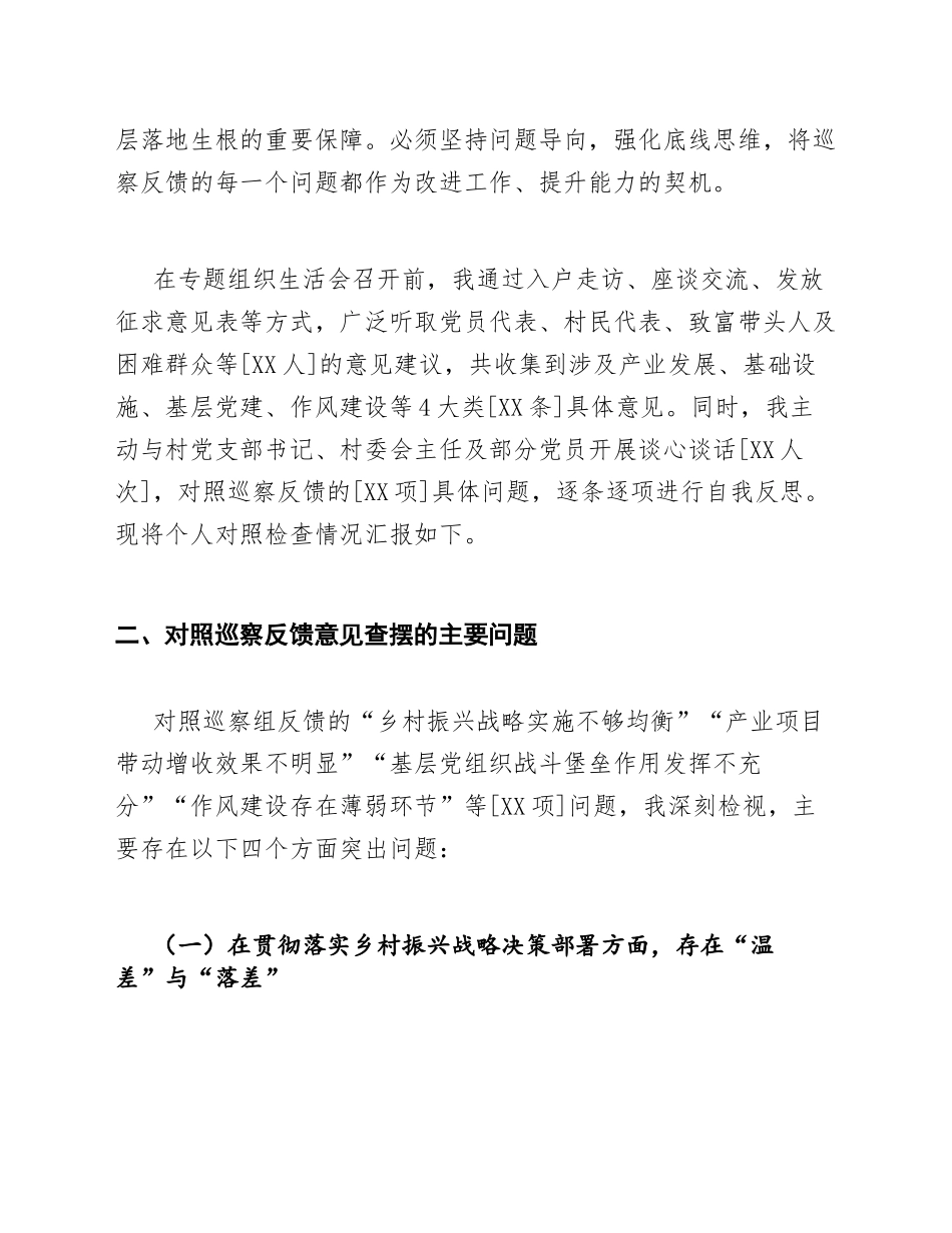 2026年驻村第一书记乡村振兴巡察整改专题对照检查剖析材料（含问题清单及整改措施）_第2页