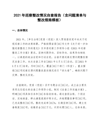 2021年巡察整改情况自查报告（含问题清单与整改措施模板）