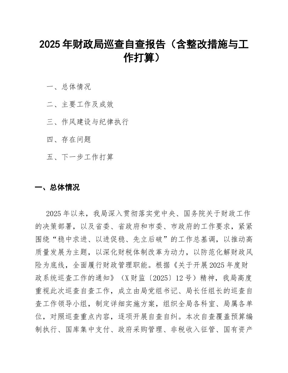 2025年财政局巡查自查报告（含整改措施与工作打算）_第1页