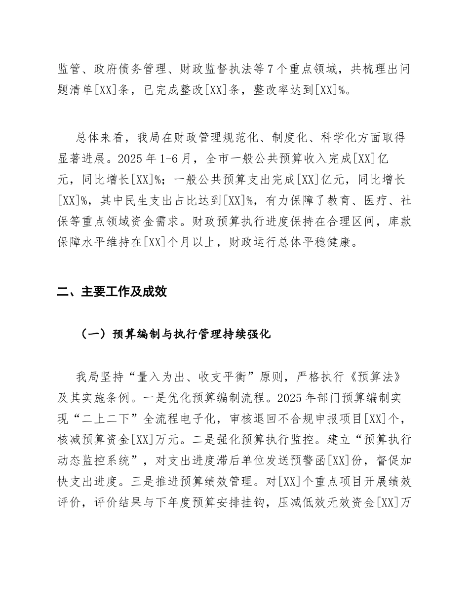 2025年财政局巡查自查报告（含整改措施与工作打算）_第2页