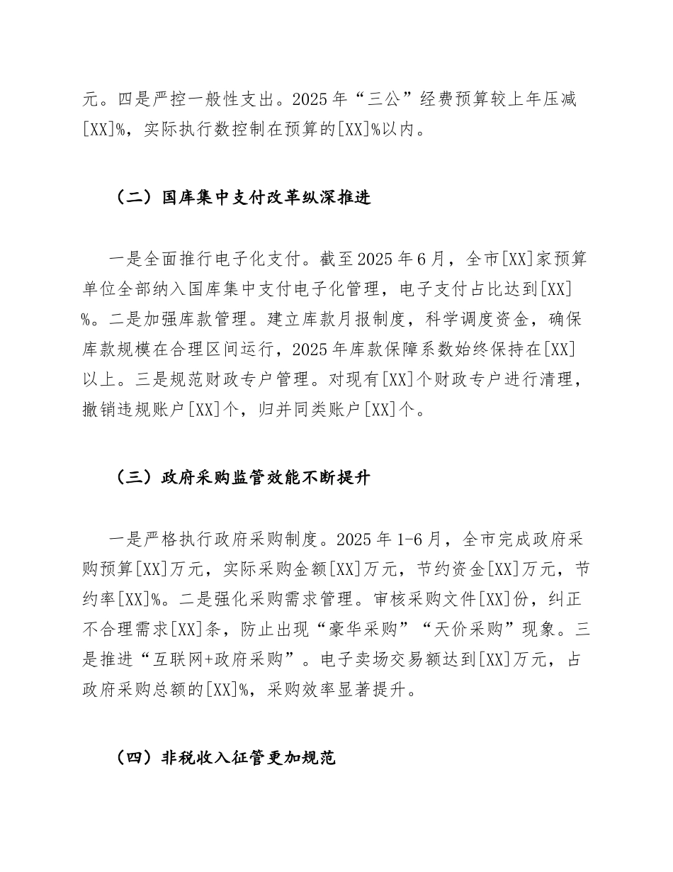 2025年财政局巡查自查报告（含整改措施与工作打算）_第3页