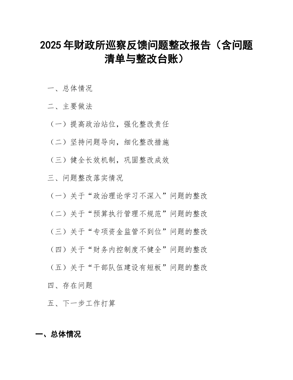 2025年财政所巡察反馈问题整改报告（含问题清单与整改台账）_第1页