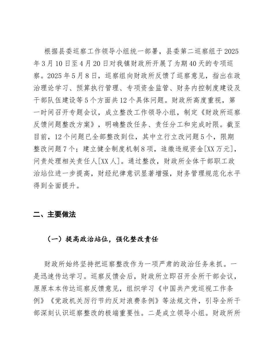 2025年财政所巡察反馈问题整改报告（含问题清单与整改台账）_第2页