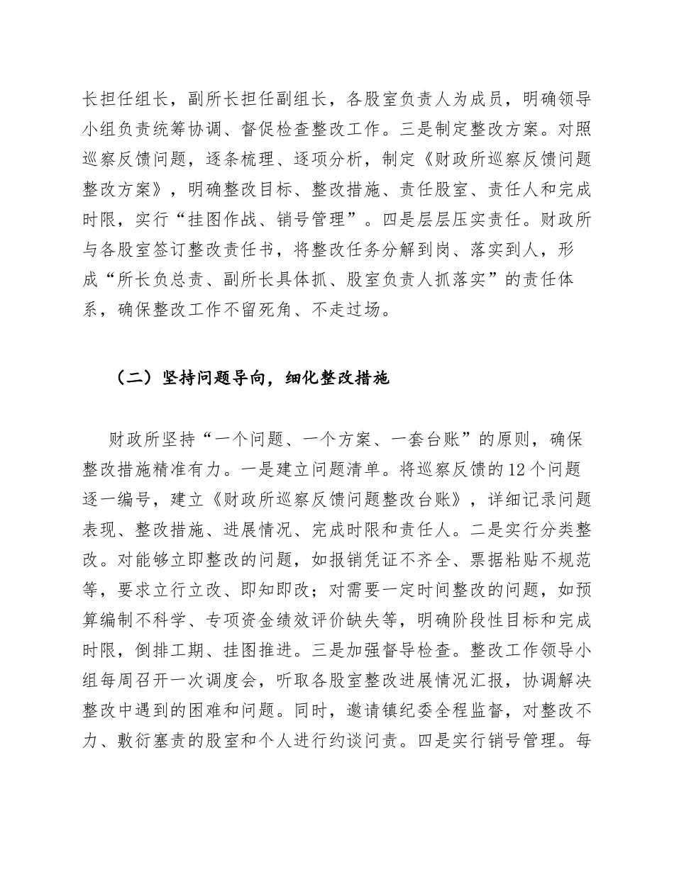 2025年财政所巡察反馈问题整改报告（含问题清单与整改台账）_第3页