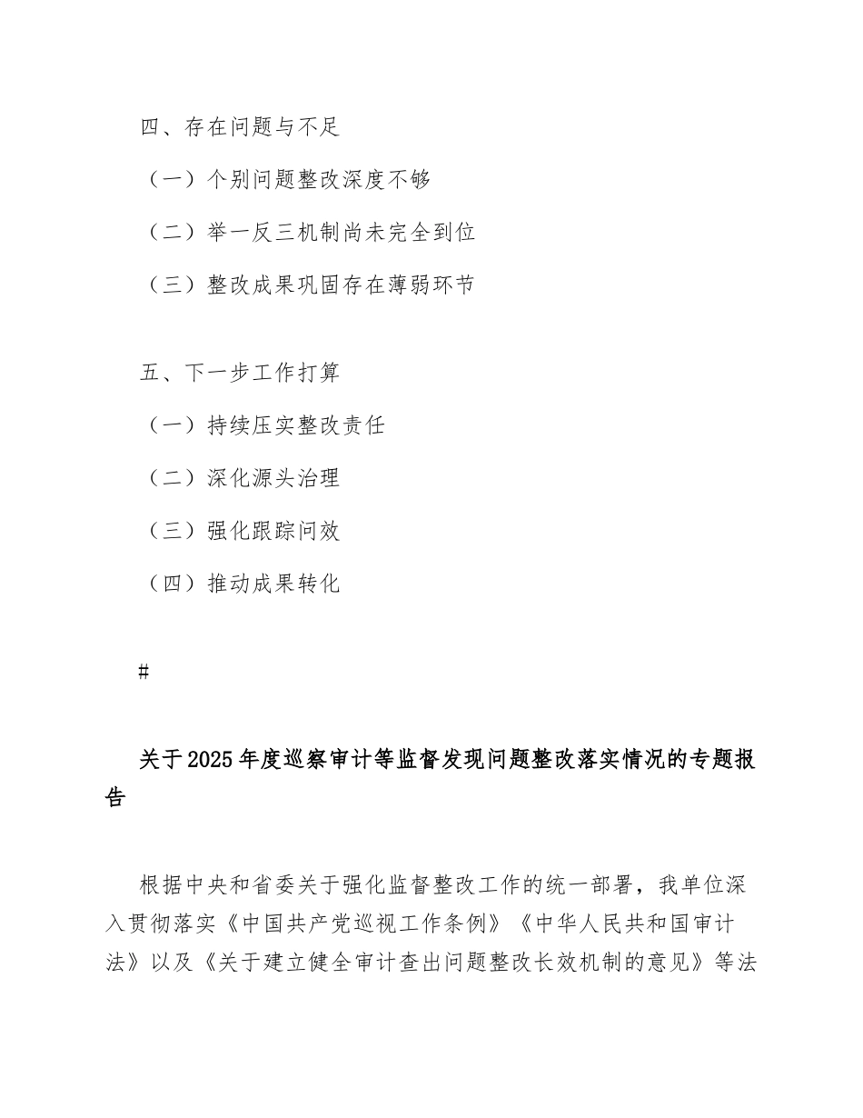 2025年度关于巡察审计等监督发现问题整改落实情况的专题报告（含整改台账模板）_第2页