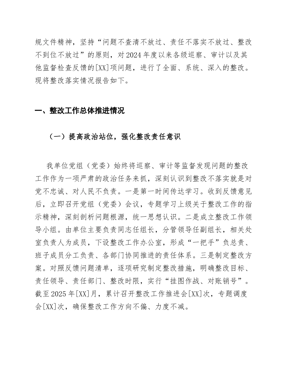 2025年度关于巡察审计等监督发现问题整改落实情况的专题报告（含整改台账模板）_第3页