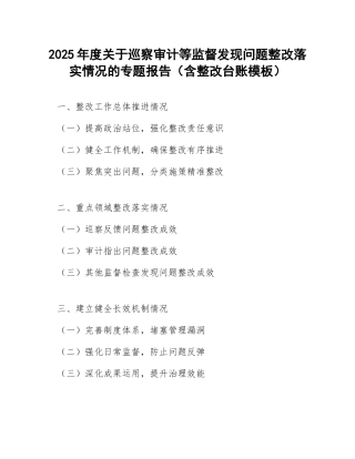 2025年度关于巡察审计等监督发现问题整改落实情况的专题报告（含整改台账模板）