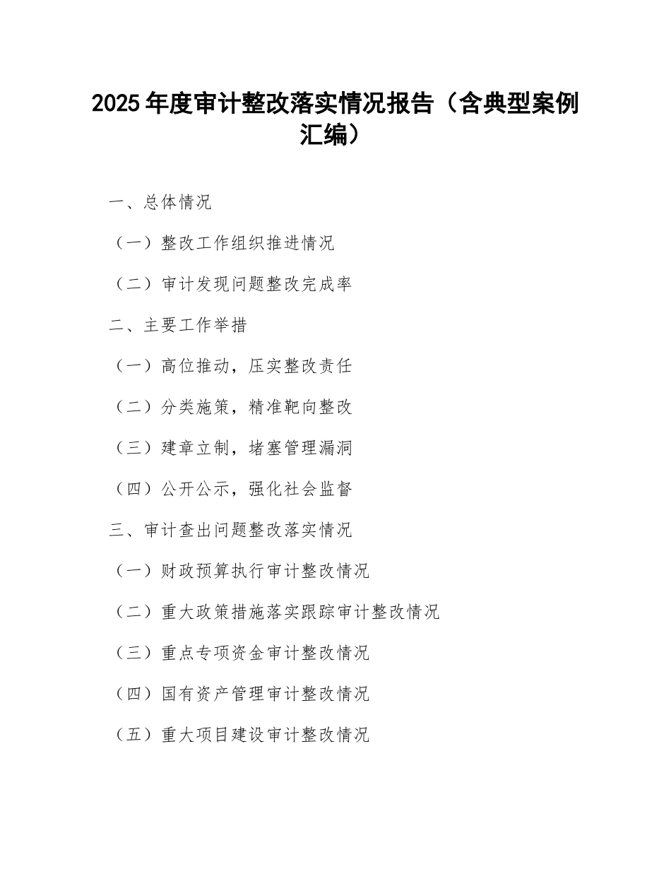2025年度审计整改落实情况报告（含典型案例汇编）_第1页