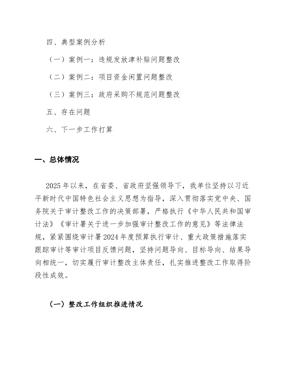2025年度审计整改落实情况报告（含典型案例汇编）_第2页