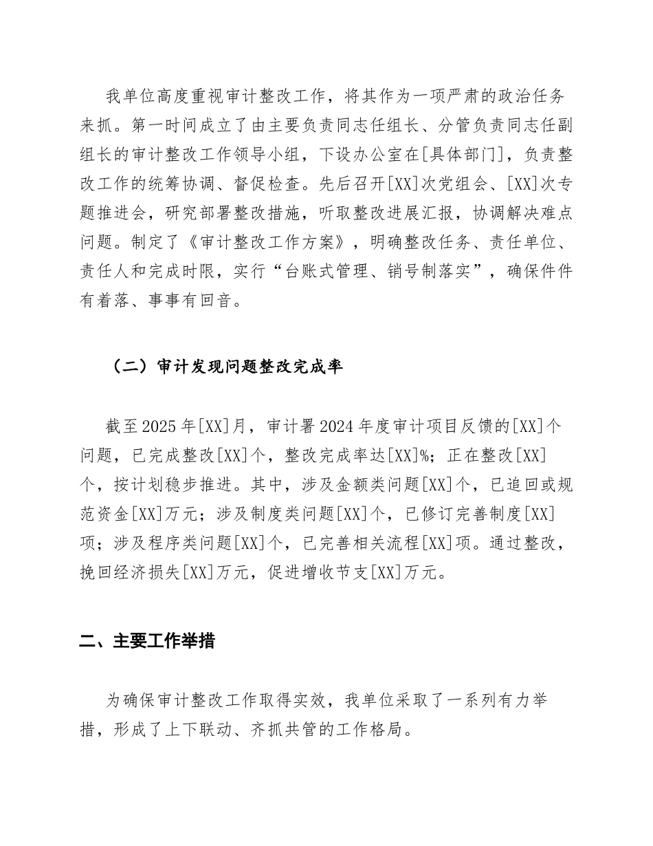 2025年度审计整改落实情况报告（含典型案例汇编）_第3页