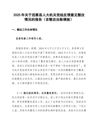2025年关于巡察县人大机关党组反馈意见整改情况的报告（含整改台账模板）