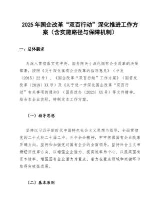 2025年国企改革“双百行动”深化推进工作方案（含实施路径与保障机制）