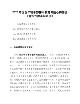 2025年国企年轻干部警示教育专题心得体会（含写作要点与范例）