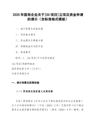 2025年国有企业关于[XX项目]立项及资金申请的请示（含标准格式模板）