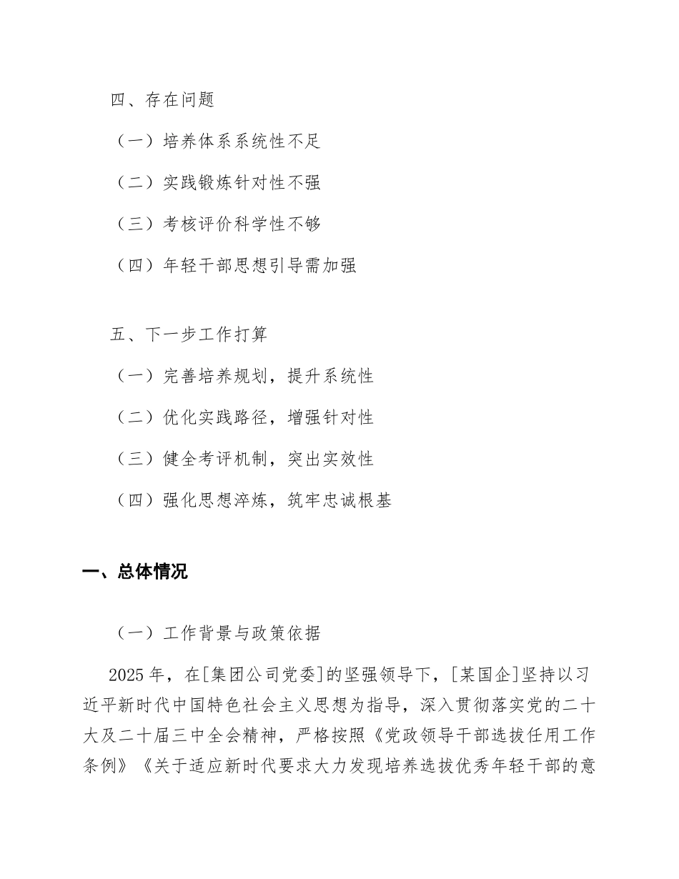 2025年国有企业年轻干部培养工作总结（含问题剖析与改进方案）_第2页
