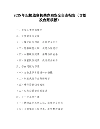 2025年纪检监察机关办案安全自查报告（含整改台账模板）
