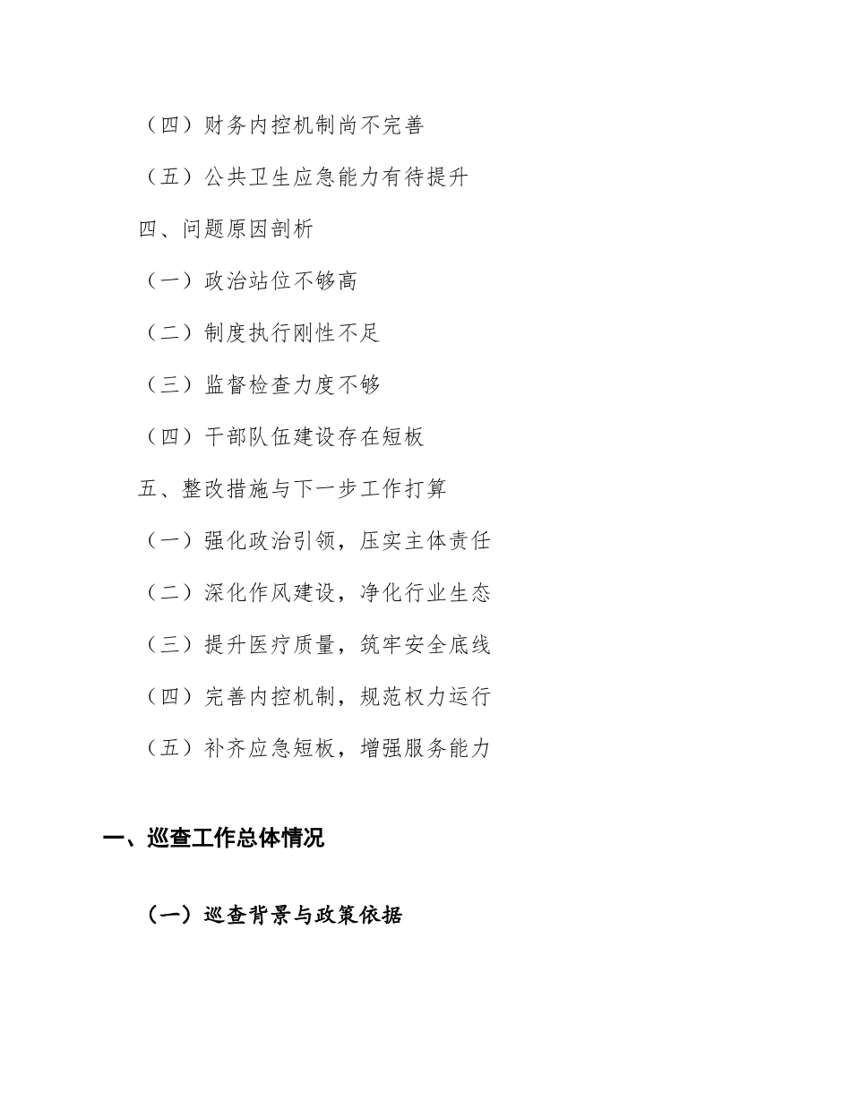 2025年市卫生健康委巡查工作汇报（含问题整改与下一步打算）_第2页