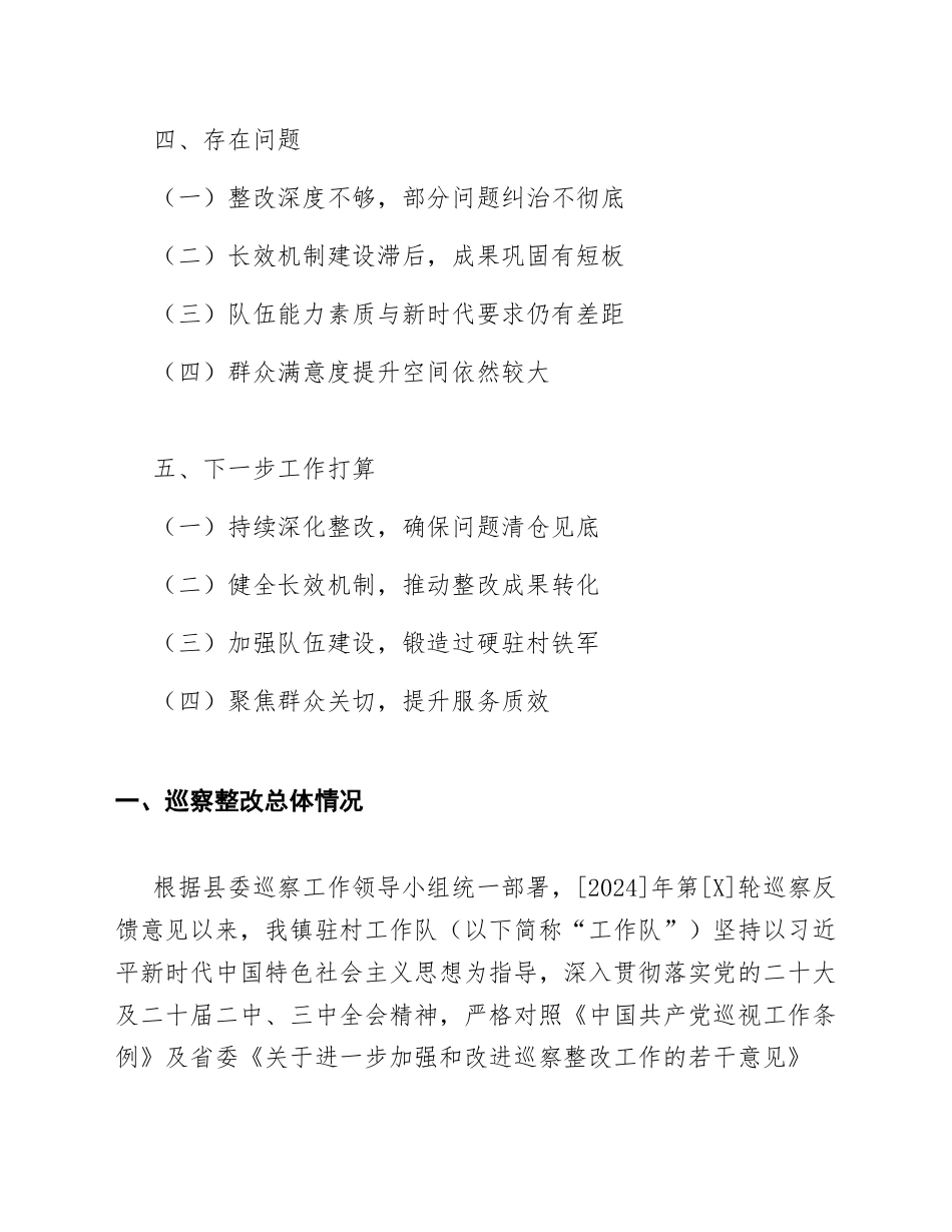 2025年乡镇驻村工作队巡察整改“回头看”情况汇报材料（含问题清单与整改台账）_第2页