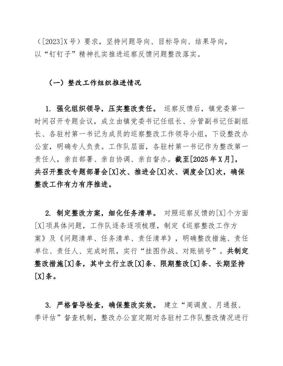 2025年乡镇驻村工作队巡察整改“回头看”情况汇报材料（含问题清单与整改台账）_第3页