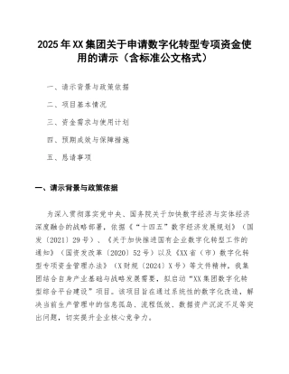 2025年XX集团关于申请数字化转型专项资金使用的请示（含标准公文格式）
