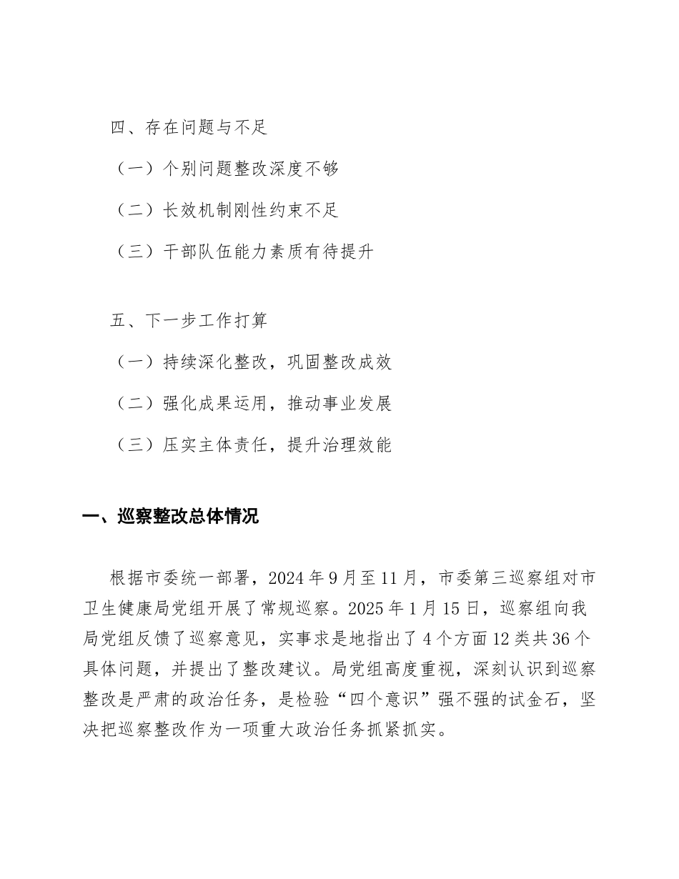 2025年XX市卫生健康局党组巡察整改情况报告（含整改台账模板）_第2页