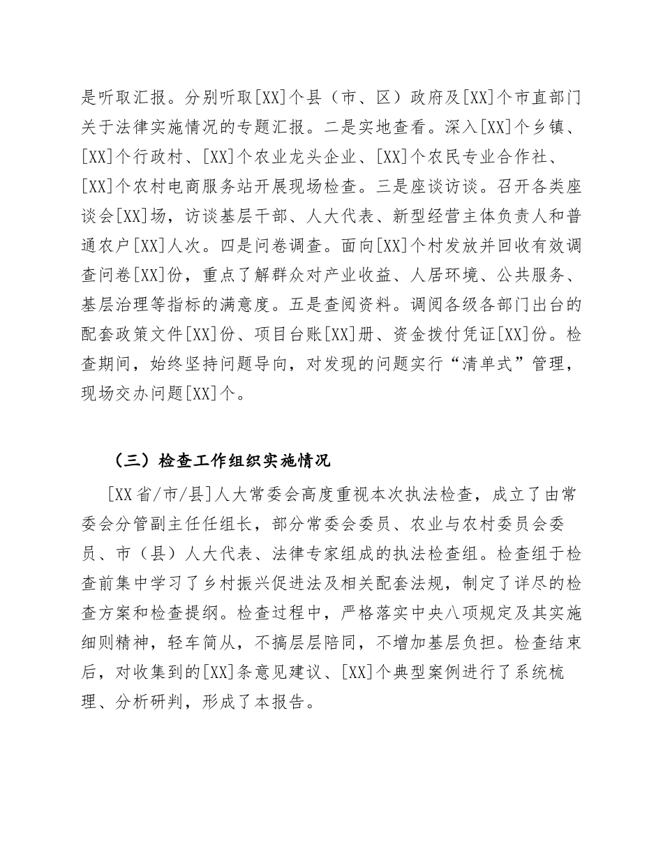 2026年关于检查〈中华人民共和国乡村振兴促进法〉实施情况的报告（含问题清单与整改建议）_第2页