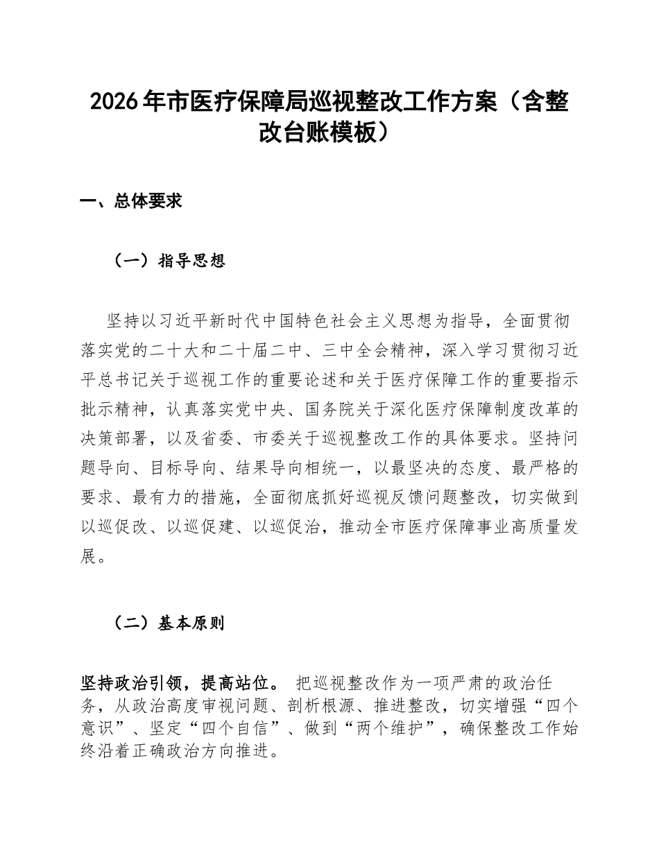 2026年市医疗保障局巡视整改工作方案（含整改台账模板）_第1页
