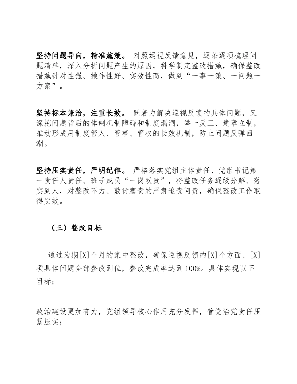 2026年市医疗保障局巡视整改工作方案（含整改台账模板）_第2页