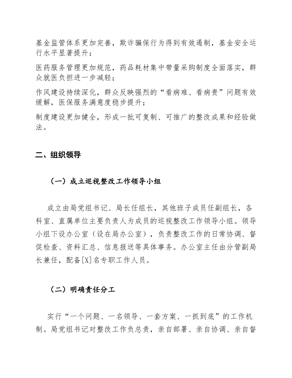 2026年市医疗保障局巡视整改工作方案（含整改台账模板）_第3页