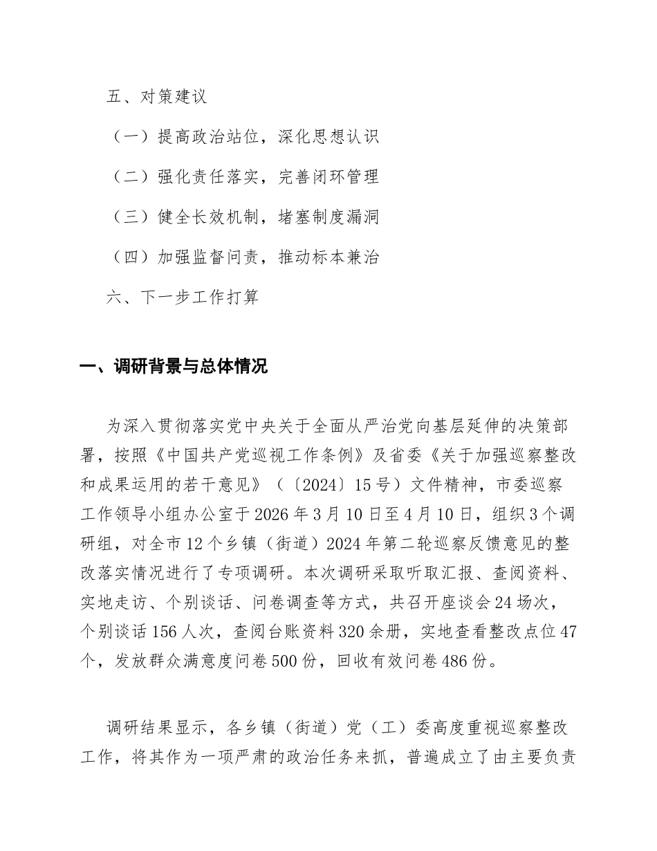 2026年乡镇巡察整改情况调研报告（含数据模板与问题清单）_第2页