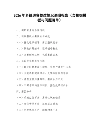 2026年乡镇巡察整改情况调研报告（含数据模板与问题清单）