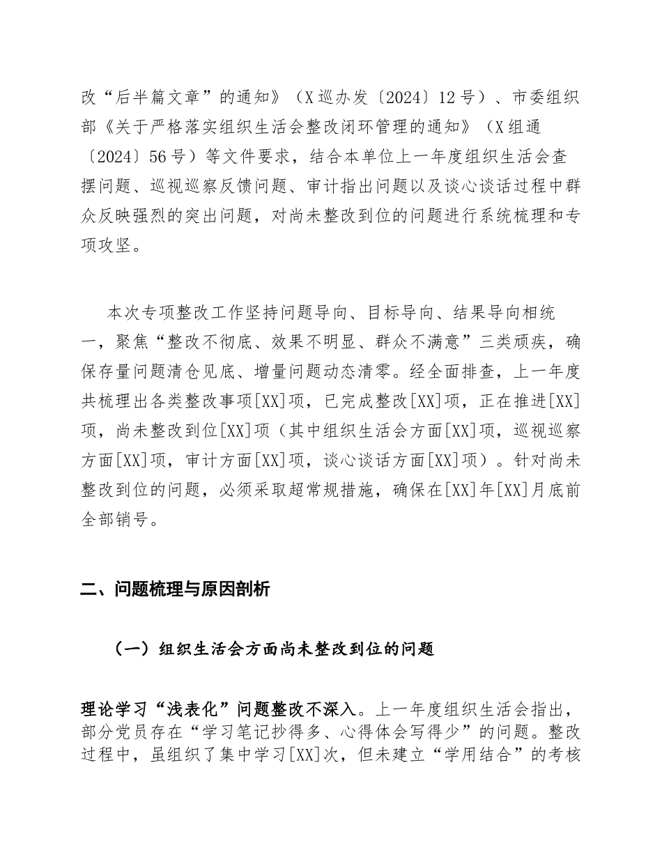 2025年度关于上一年度生活会、巡视巡察整改和审计整改及谈心谈话指出问题尚未整改到位情况的专项整改方案（含整改台账模板）_第2页