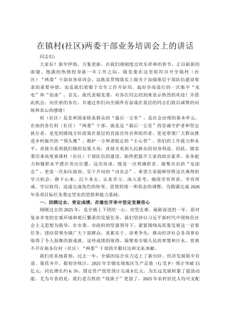 在镇村(社区)两委干部业务培训会上的讲话