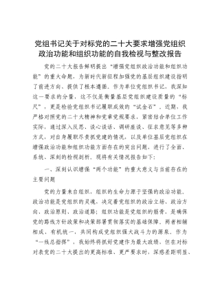 增强党组织政治功能和组织功能的自我检视与整改报告