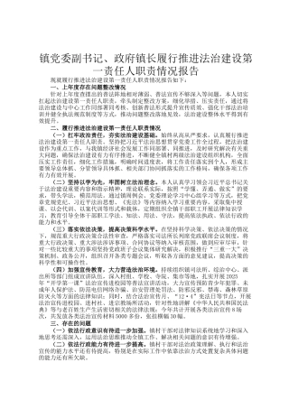 镇党委副书记、政府镇长履行推进法治建设第一责任人职责情况报告