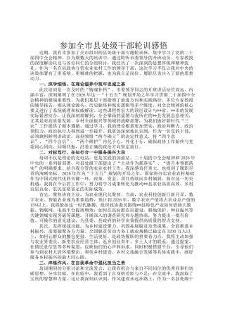 参加全市县处级干部轮训感悟
