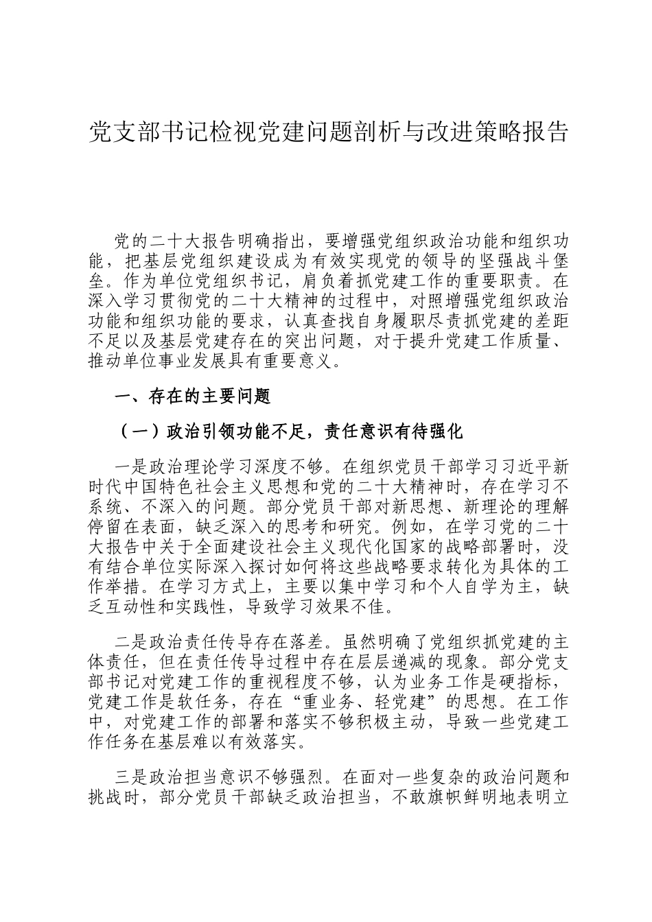 党支部书记检视党建问题剖析与改进策略报告_第1页