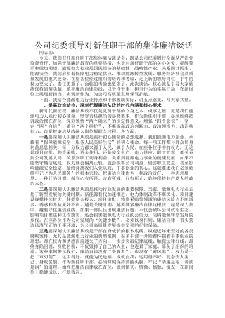 公司纪委领导对新任职干部的集体廉洁谈话