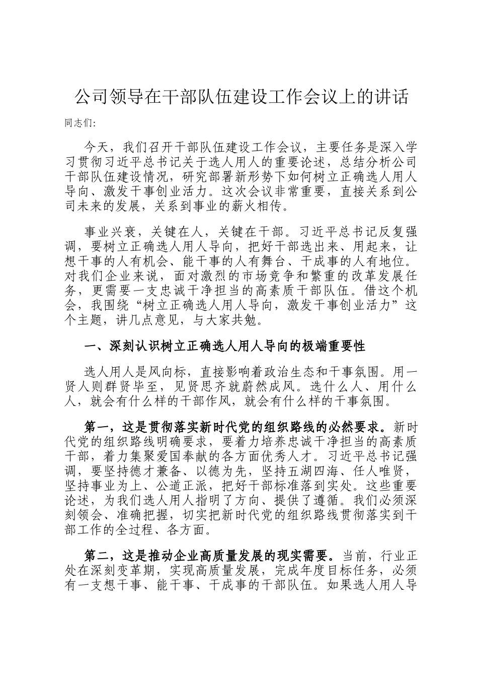 公司领导在干部队伍建设工作会议上的讲话_第1页