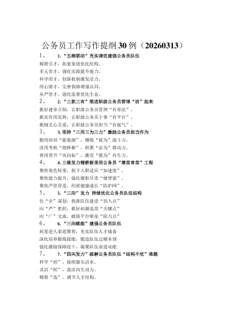 公务员工作写作提纲30例（20260313）