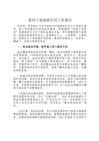 某局干部选拔任用工作报告